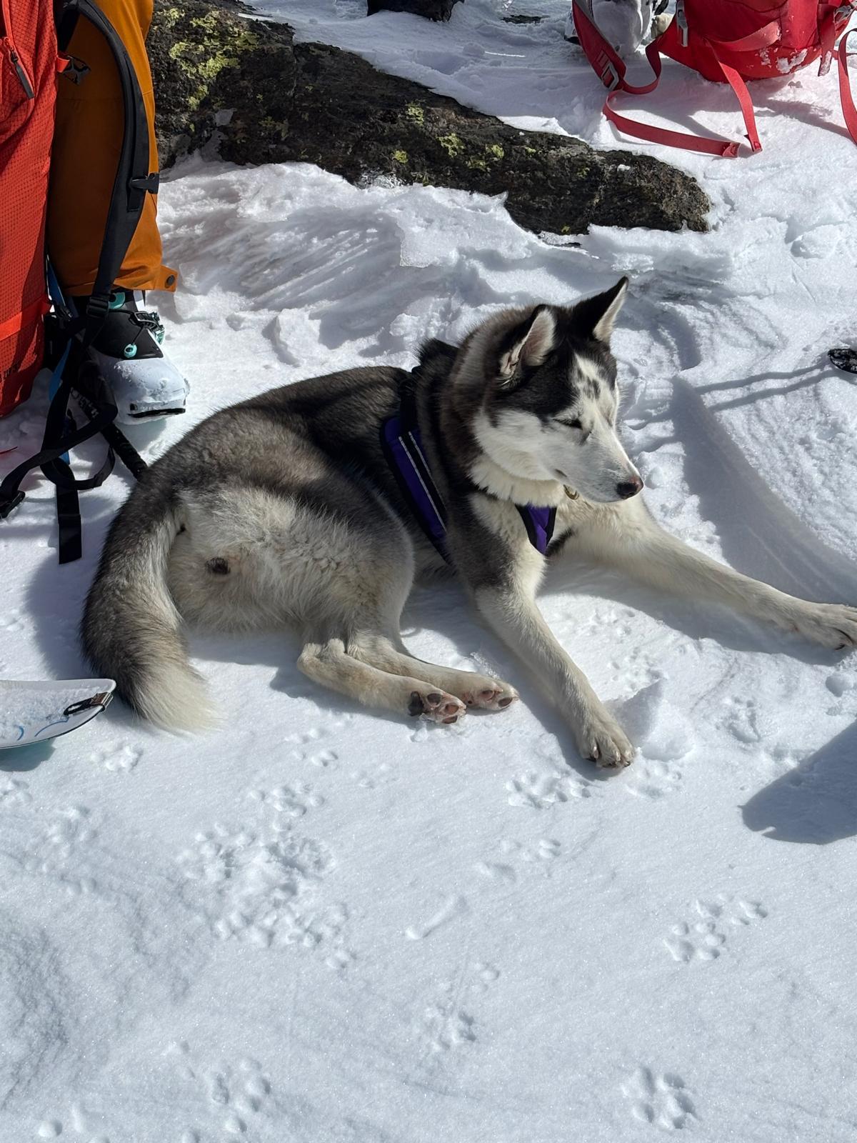 File-multimediali-55